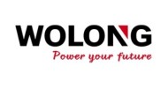 WOLONG ELECTRIC GROUP